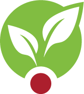 A large green circle with two white leaves growing out of it on top of a smaller maroon circle