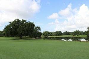 A view of green turf grass at a golf course that leads to a pond and large green trees with a blue sky and white clouds in the background