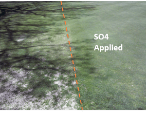 A side by side comparison of two different pieces of turf. The left side was not treated with SO4 and shows signs of mold and dead grass. The right side has SO4 applied to it and the grass looks green and healthy.