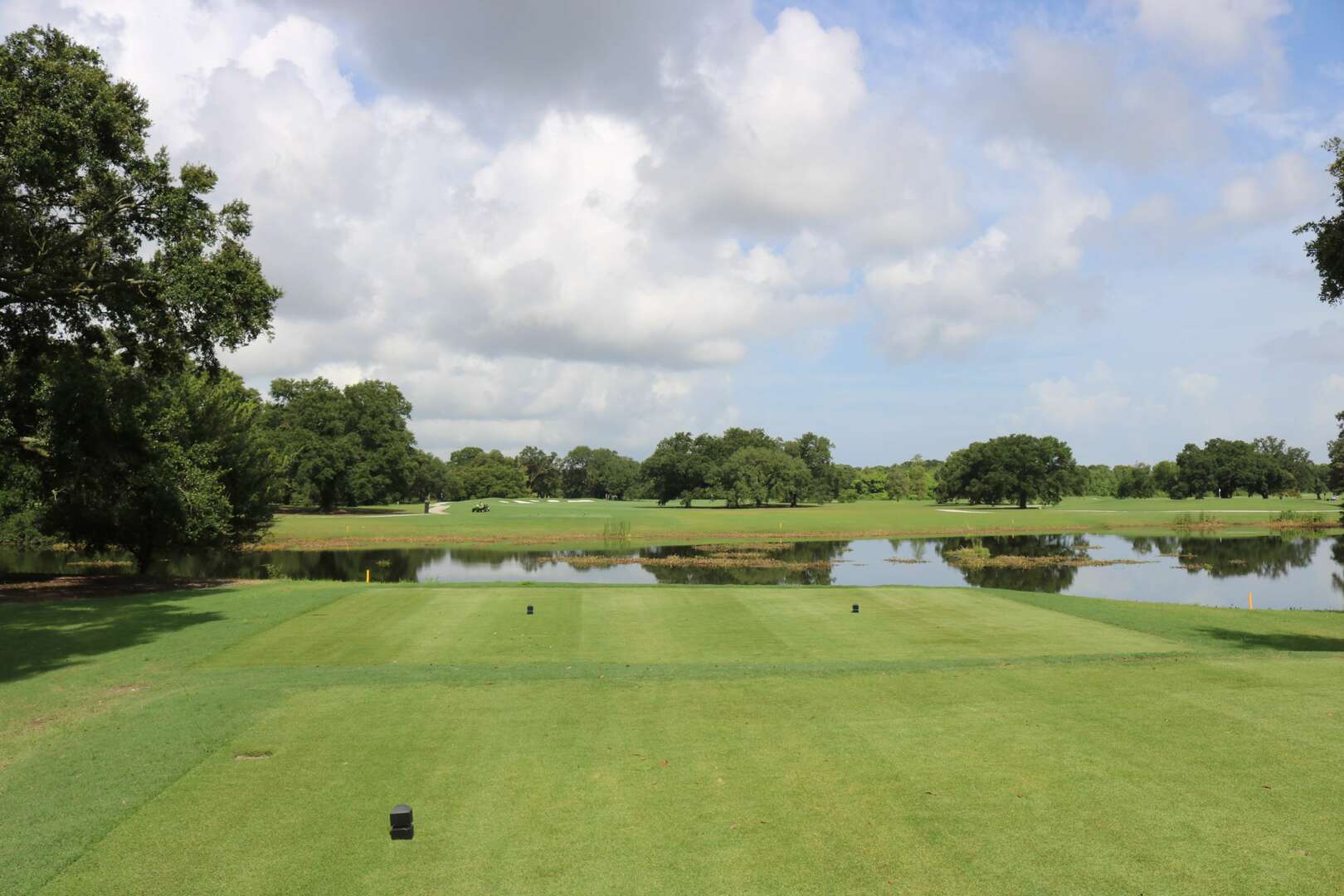 A view of green turf grass and trees that lead to a large pond in the middle of a golf course