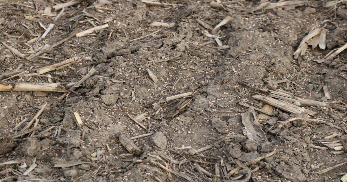 The Case for Soil pH Maintenance