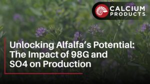 Unlocking Alfalfa’s Potential: The Impact of 98G and SO4 on Production